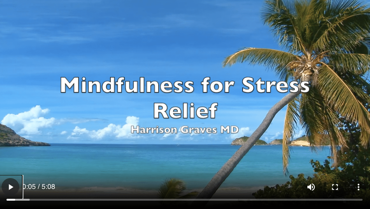 Mindfulness for Stress Relief: Relieving Anxiety Naturally by Harrison Graves MD