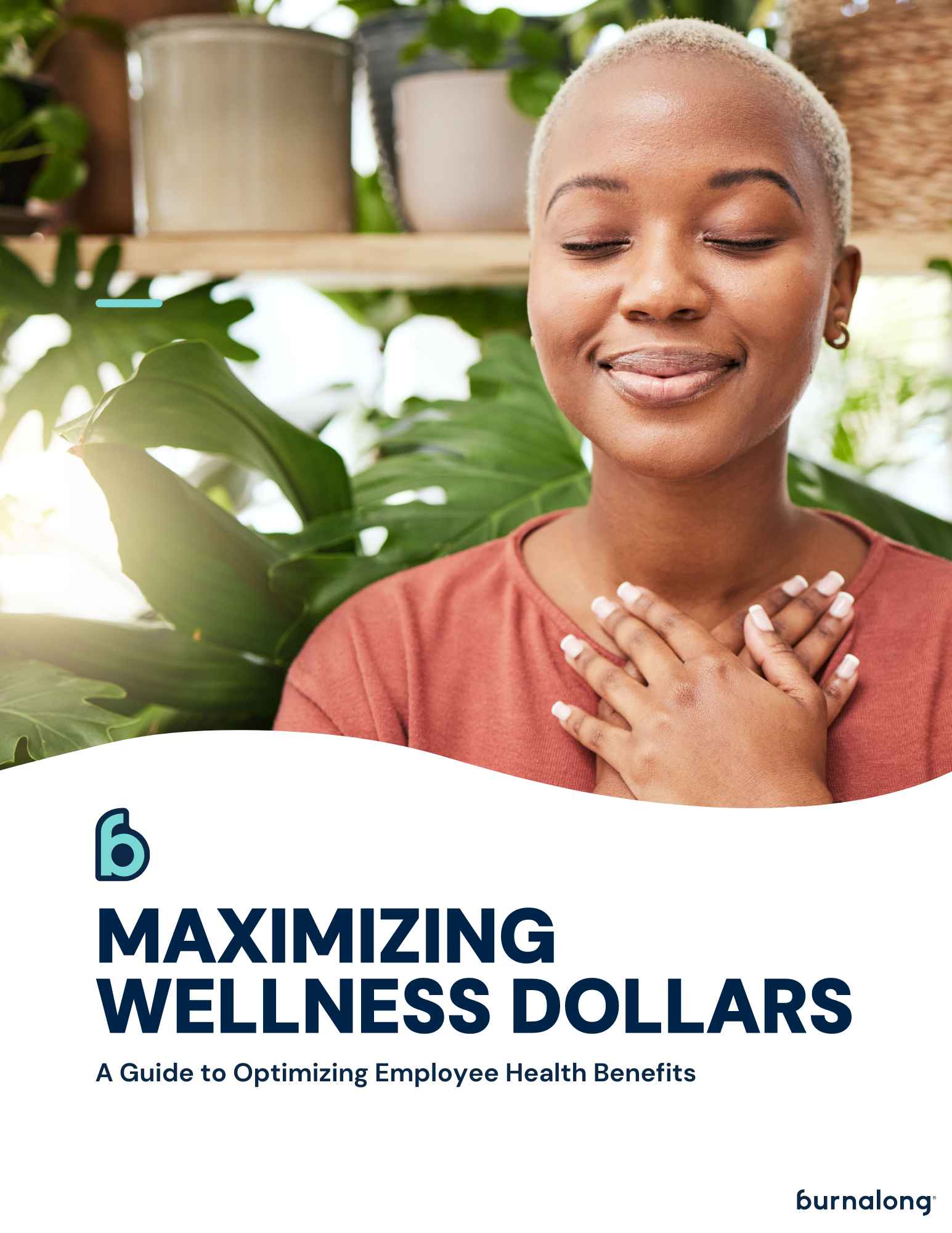 E BOOK WELLNESS DOLLARS